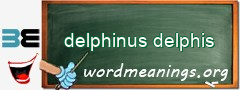 WordMeaning blackboard for delphinus delphis